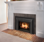 E20 GAS INSERT IPI, NG 