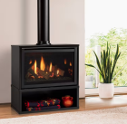 RUBY 30" DIRECT VENT GAS INSERT/FREESTANDING STOVE, IPI, NG