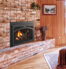 TRILLIANT 35" DIRECT VENT GAS INSERT, IPI, LP