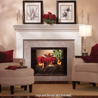 BRECKENRIDGE PREMIUM 36" VENT FREE FIREBOX -SEE THROUGH, FLUSH FRONT 