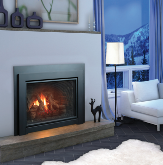 CAPRI 44" DIRECT VENT GAS INSERT, IPI PROFLAME 2, NG